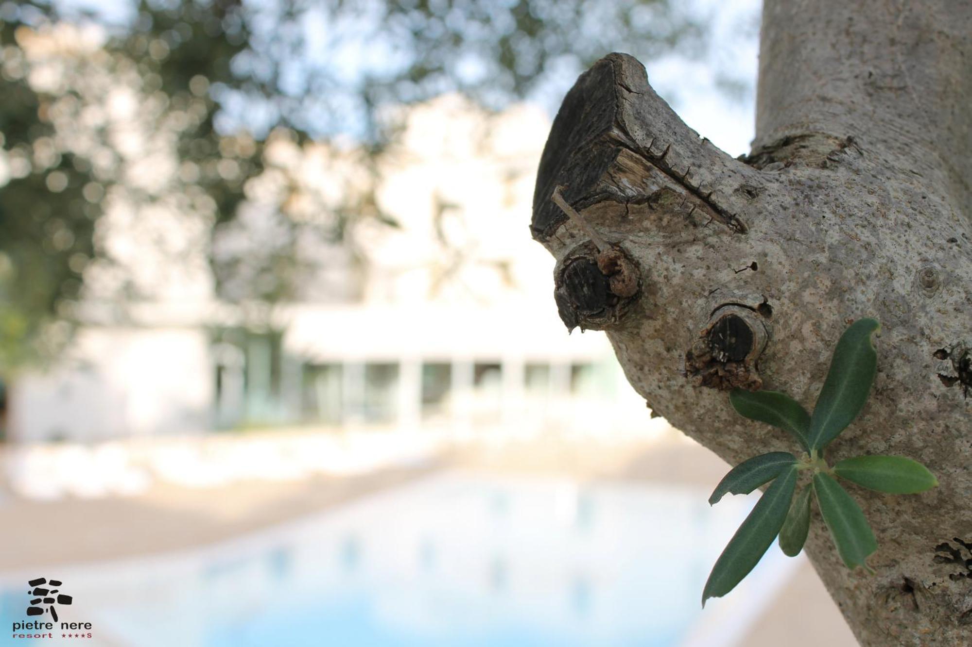 Pietre Nere Resort & Spa موديكا المظهر الخارجي الصورة